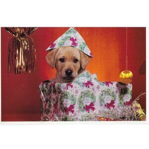 Merry Christmas Labrador Retriever Puppy Postcard Unposted